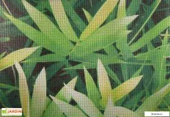 Arteflex Échantillon De Brise Vue Décoratif -magasin de mobilier d'extérieur bambou