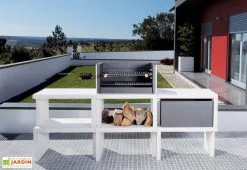 Blive Barbecue Design En Béton LIV06