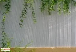 Jet7Garden Brise-vue En PVC Canisse Double Face 1,50 X 2,50 M