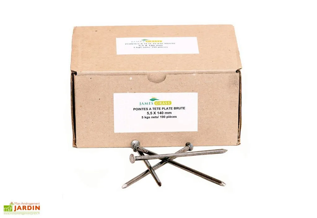Clous Tête Plate Pour Gazon Synthétique James Grass - Lot De 190 1 Clous Tête Plate Pour Gazon Synthétique James Grass - Lot De 190