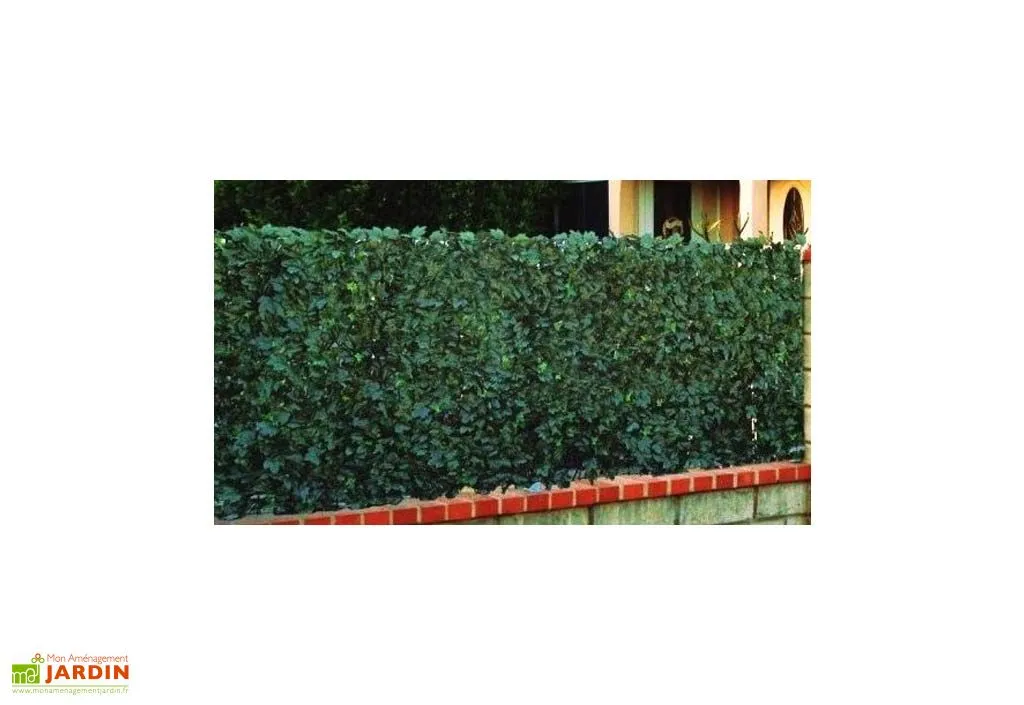 Jet7Garden Haie Artificielle Feuilles De Lierre Duo 1,50x3m 4 Jet7Garden Haie Artificielle Feuilles De Lierre Duo 1,50x3m – Image 4