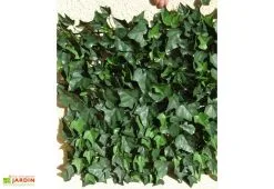 Jet7Garden Haie De Lierre Artificielle 250 Feuilles 3 M² -magasin de mobilier d'extérieur haie artificielle lierre vert 1