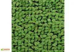 Jet7Garden Haie Artificielle Feuilles De Rosier 1x3m