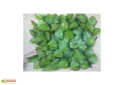 Jet7Garden Haie Artificielle Feuilles De Rosier Treillis Extensible Sur Mesure 1x2m -magasin de mobilier d'extérieur haie artificielle rosier treillis 3