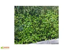 Jet7Garden Haie Artificielle Feuilles De Rosier Treillis Extensible Sur Mesure 1x2m