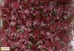 Jet7Garden Mur Végétal Artificiel En PVC Vigne Rouge - 1 M²