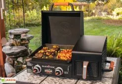 Plancha à Gaz 2 Brûleurs 12,5 KW + Friteuse à Air Blackstone AR 17’’