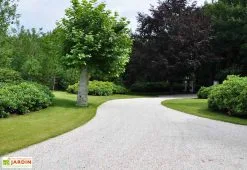 Bera Stabilisateur De Gravier En Polypropylène - Gravel Fix -magasin de mobilier d'extérieur stabilisateur gravier polypropyl ne 2