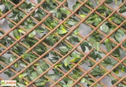 France Green Haie Artificielle De Jasmin Fleuri - Treillis Extensible (pls Dim.) 7 France Green Haie Artificielle De Jasmin Fleuri - Treillis Extensible (pls Dim.) -magasin de mobilier d'extérieur treillis extensible feuillage artificiel jasmin 2